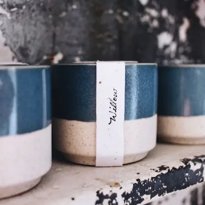 Willow | Growing Candle with Plantable Flower Seed Label