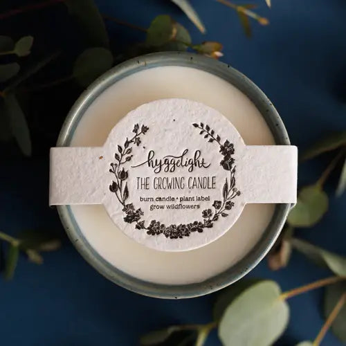 Willow | Growing Candle with Plantable Flower Seed Label