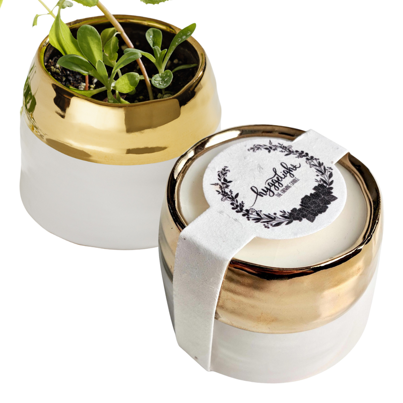 Clara | Growing Candle with Plantable Flower Seed Label