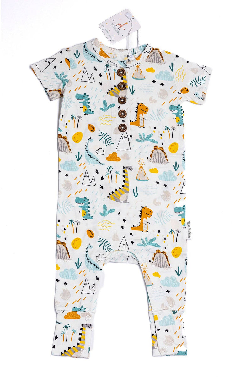 Dino Friends Onesie: 3M-6M