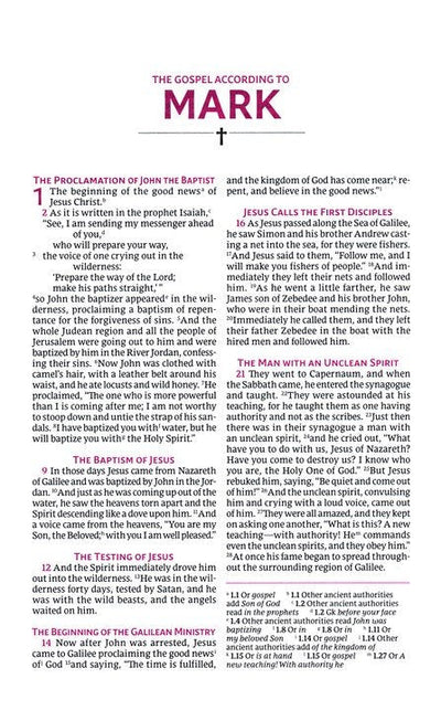 NRSVue Holy Bible, Personal Size - Purple