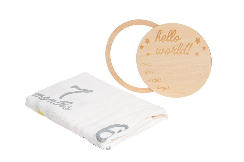 "Hello World" Milestone Blanket & Photo Prop