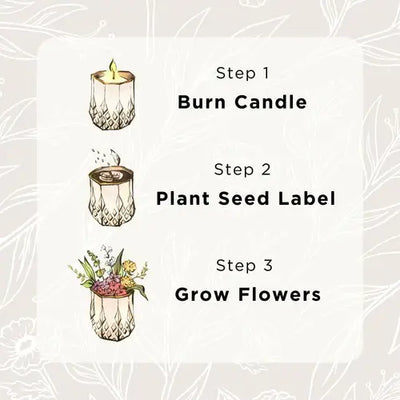 Clara | Growing Candle with Plantable Flower Seed Label