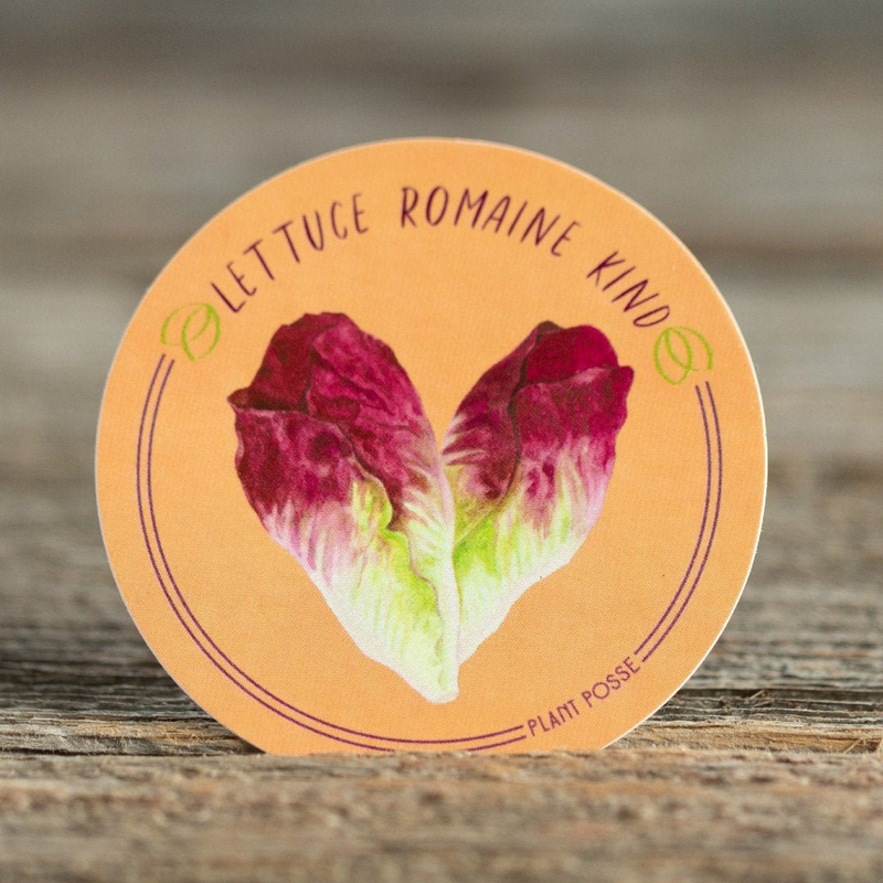"Lettuce Romaine Kind" Sticker