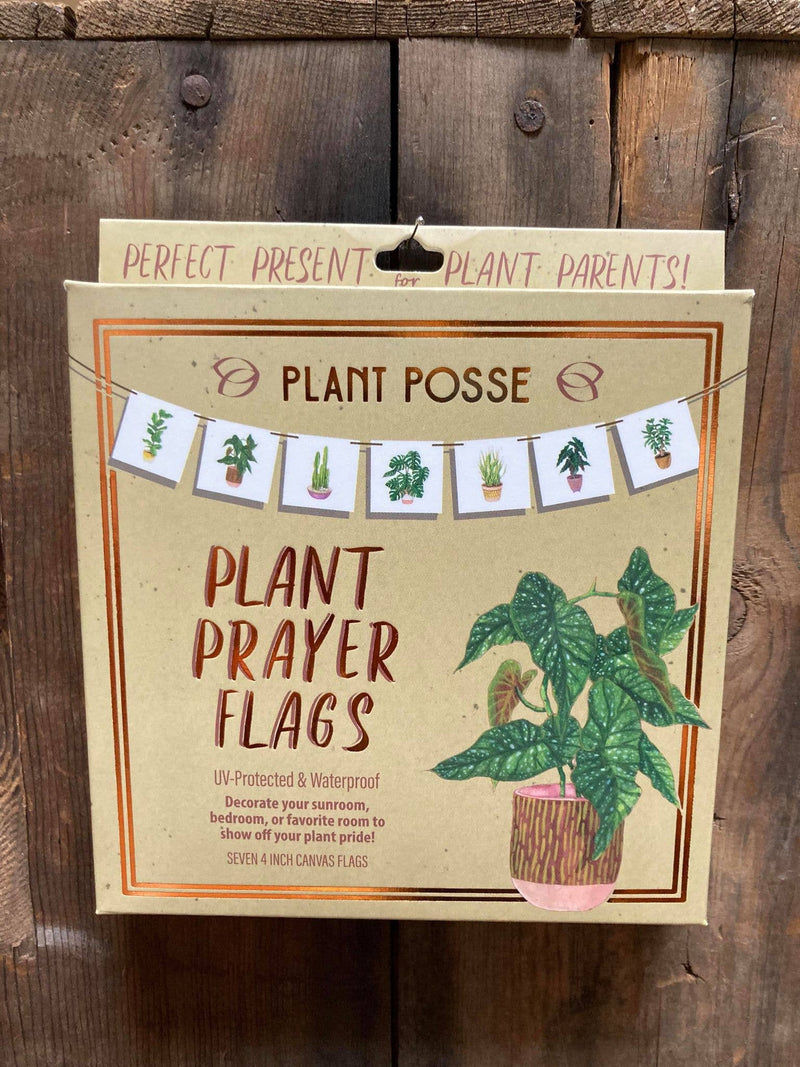 Plant Prayer Flags