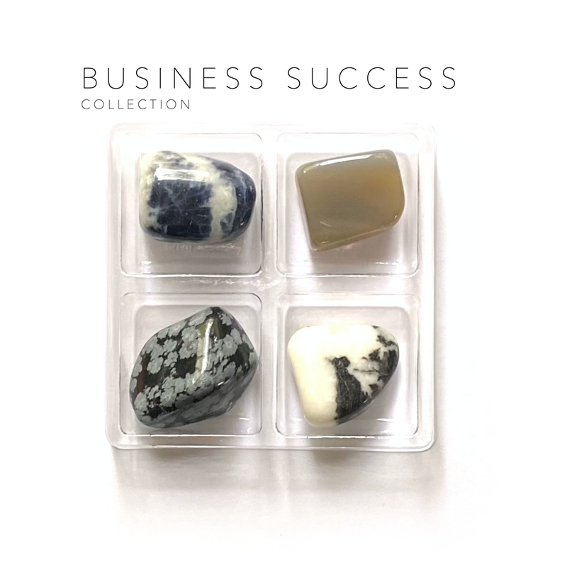 “Business Success Collection" Rox Box