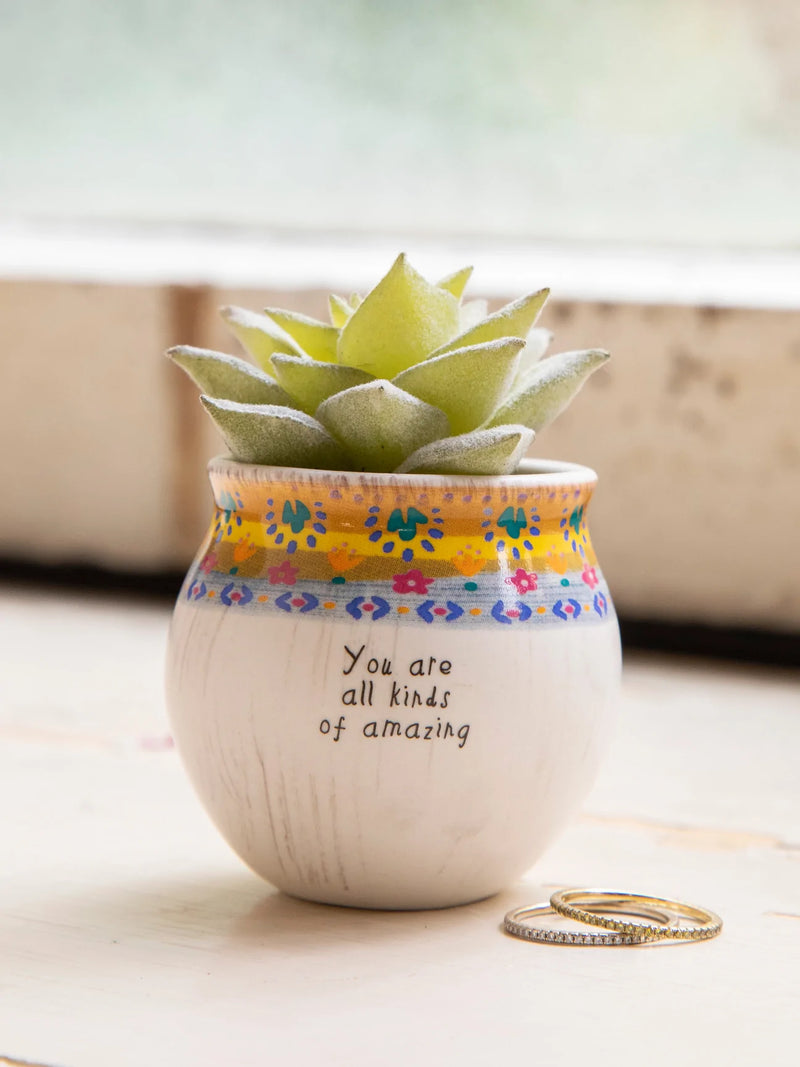 "You Are All Kind Of Amazing" Mini Faux Succulent