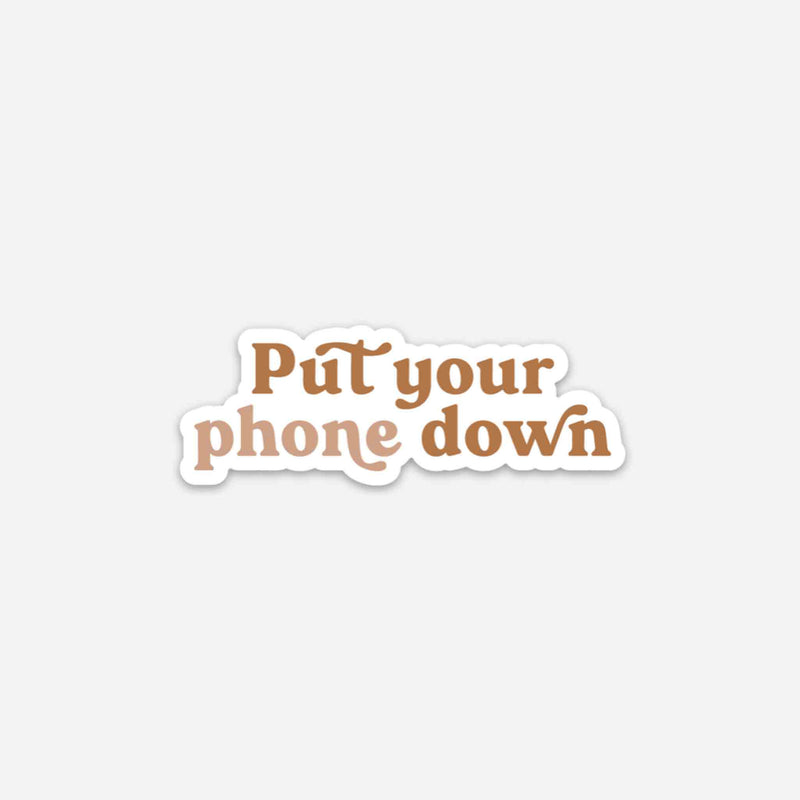 “Put Your Phone Down” Vinyl Sticker
