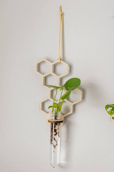 Honeycomb Hanging Planter - Small